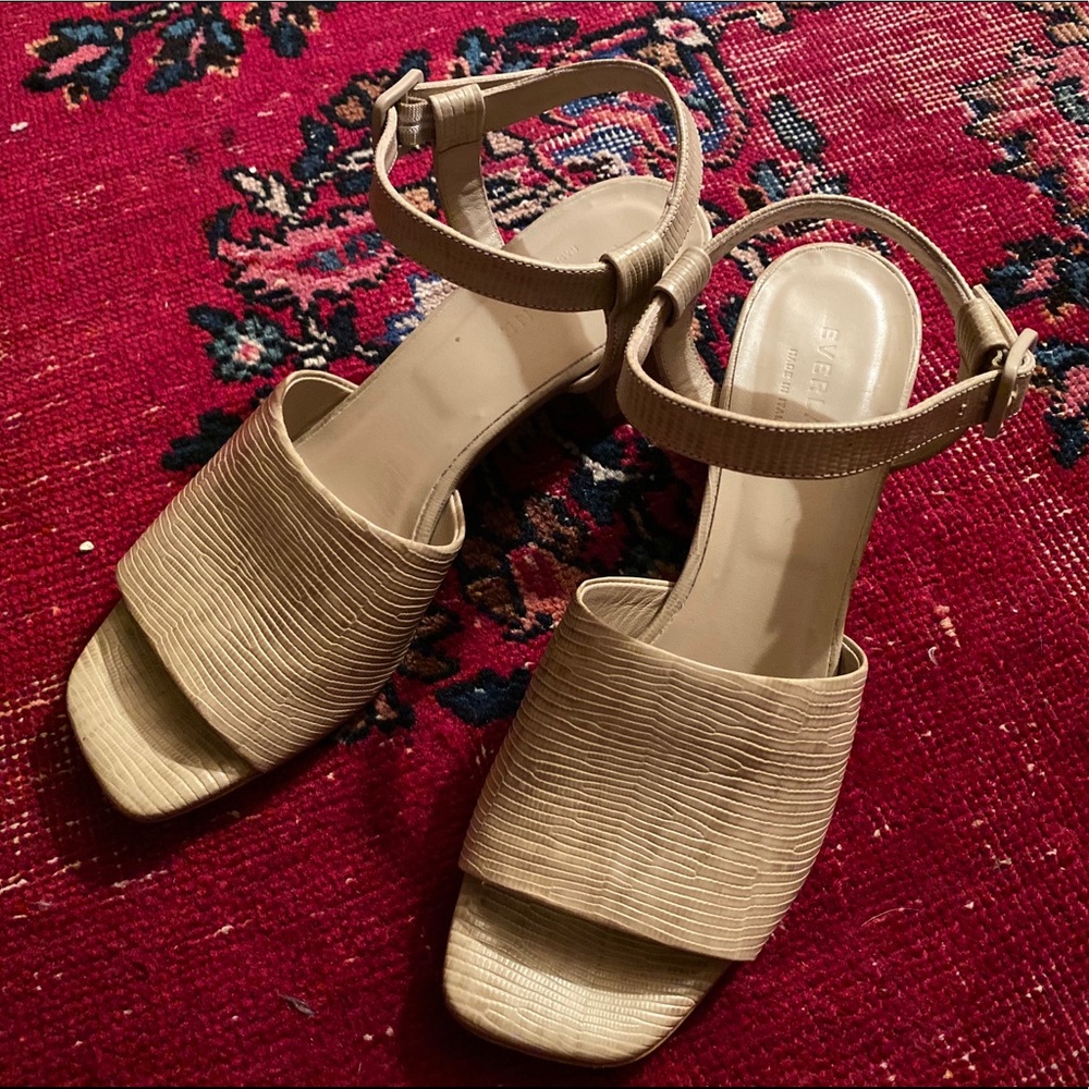 Everlane The Block Heel Sandal in Sand Lizard